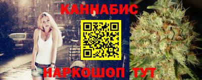 мдпв Ефремов