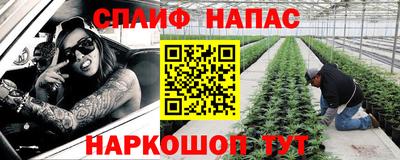 мдпв Ефремов