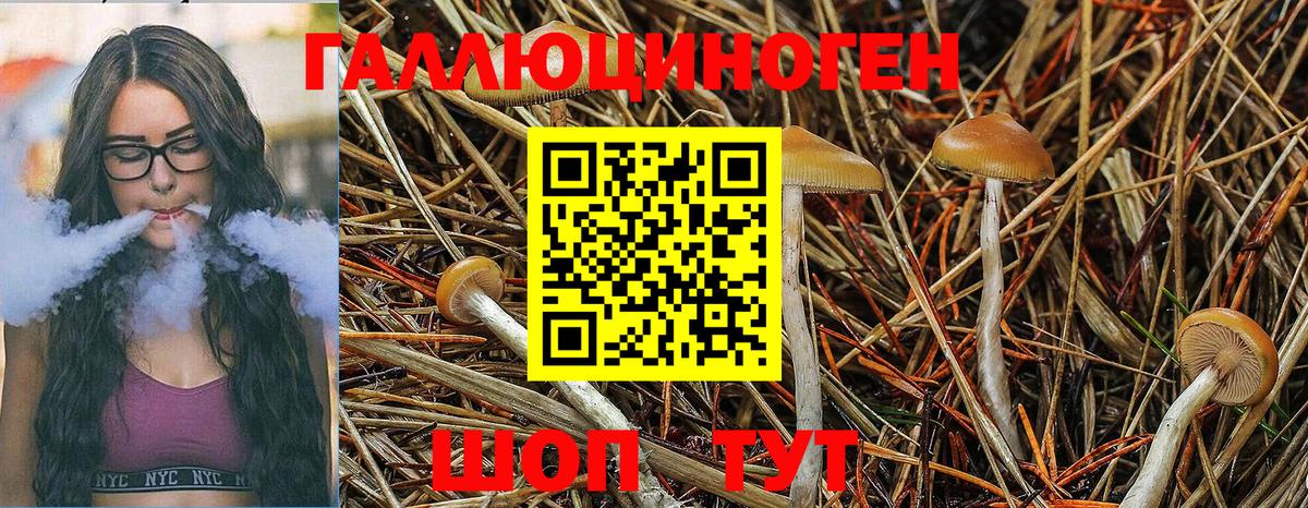 Галлюциногенные грибы MAGIC MUSHROOMS  Вход с VPN  Дивногорск 
