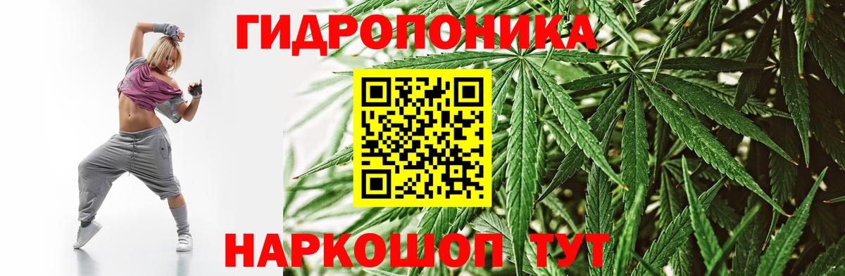 Бошки Шишки MAZAR Дивногорск